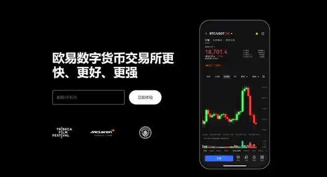 OK交易网站平台展示图